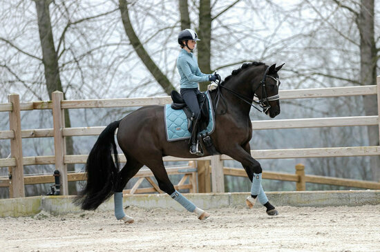 Bandages Equestrian Stockholm Bandages steel blue